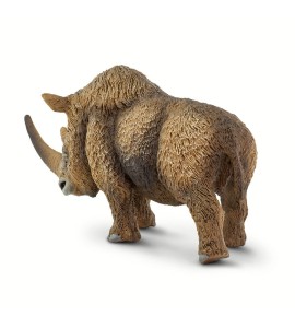 Rhinocéros laineux