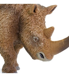 Rhinocéros laineux