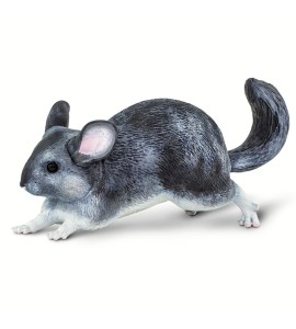 Chinchilla