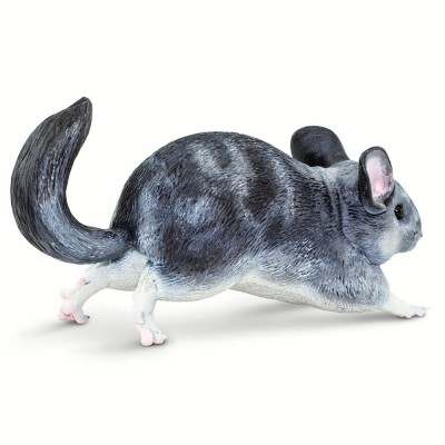 Chinchilla