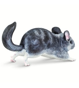 Chinchilla