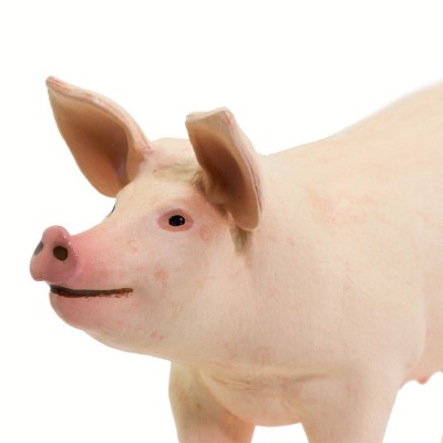 Porc