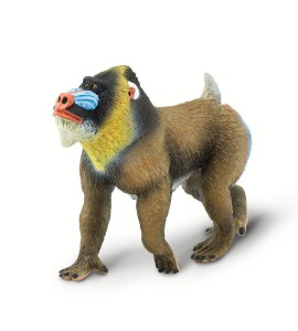 Mandrill