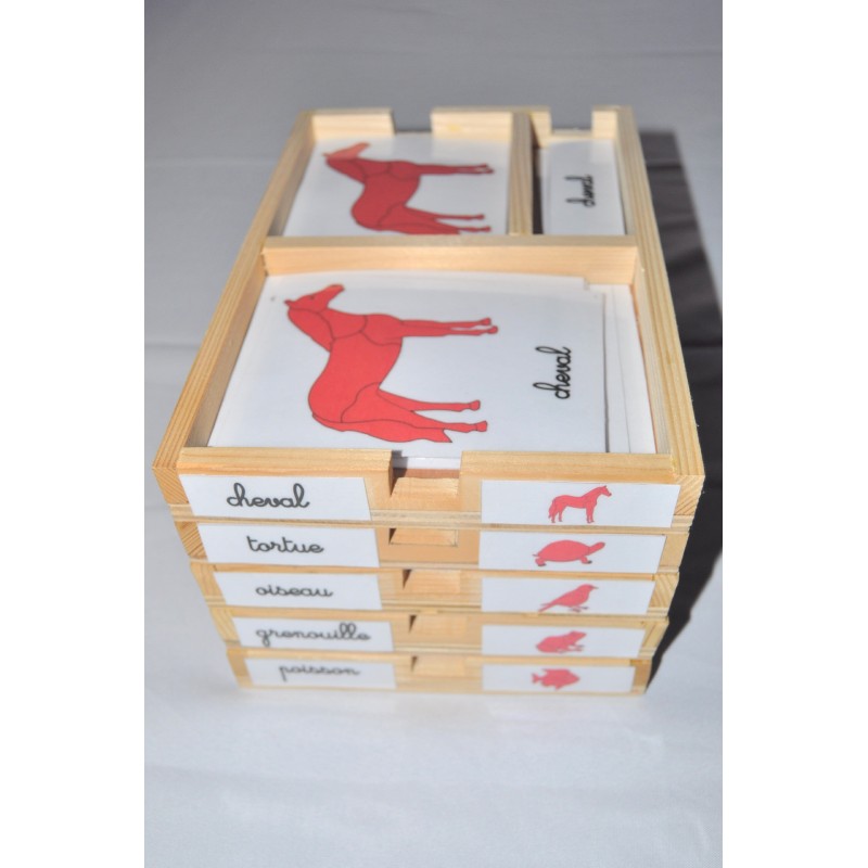 Pack nomenclatures zoologie 1