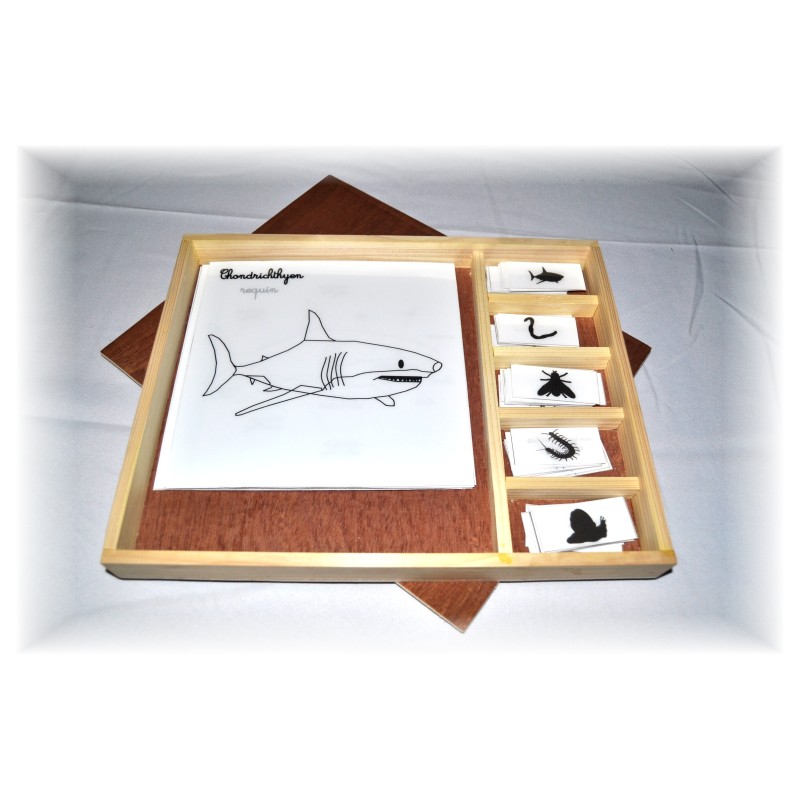 Coffret zoologie 5