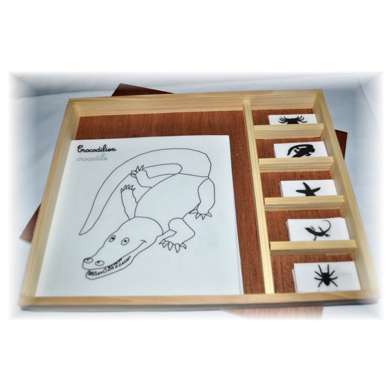 Coffret zoologie 4