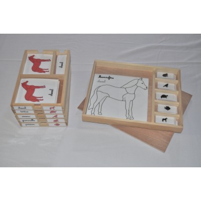 Pack nomenclatures + coffret zoologie 1