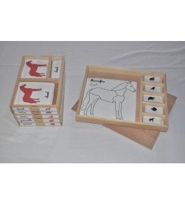 Pack nomenclatures + coffret zoologie 1