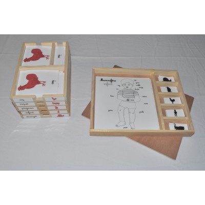 Pack nomenclatures + coffret zoologie 2