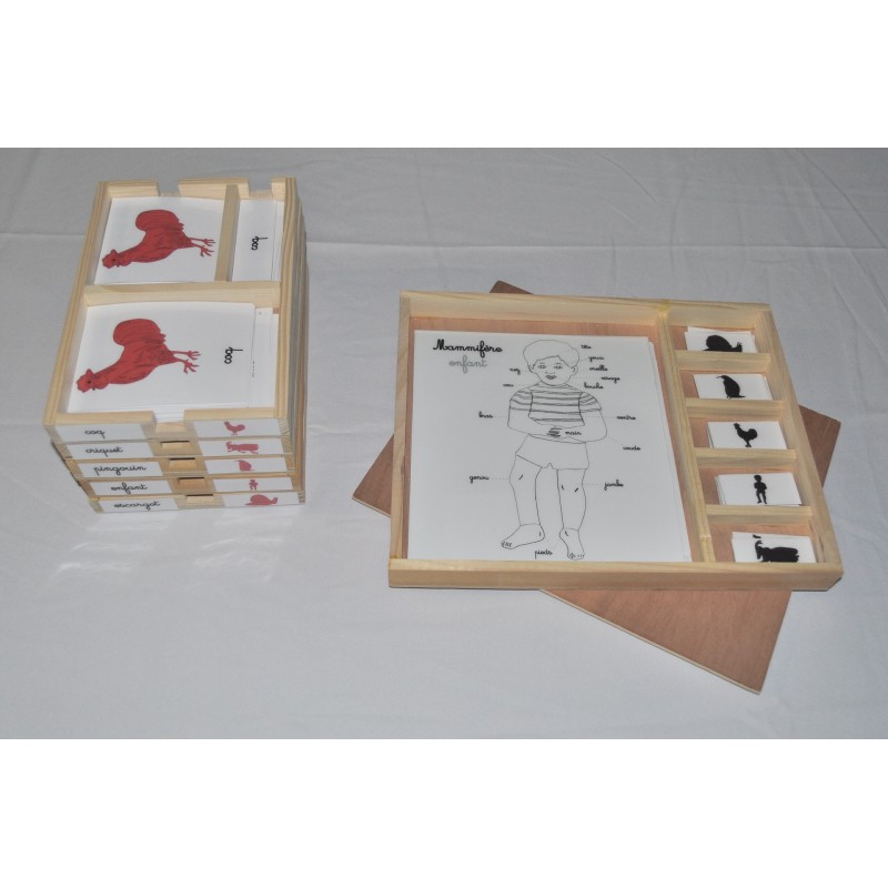 Pack nomenclatures + coffret zoologie 2