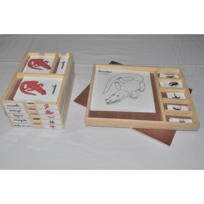 Pack nomenclatures + coffret zoologie 4