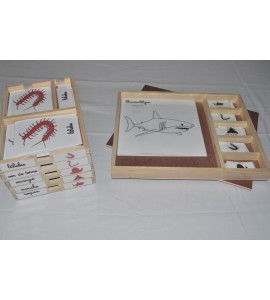 Pack nomenclatures + coffret zoologie 5