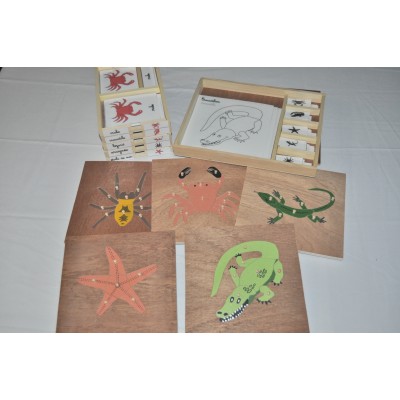 Pack nomenclatures + coffret + puzzles zoologie 4