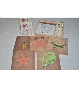 Pack nomenclatures + coffret + puzzles zoologie 4