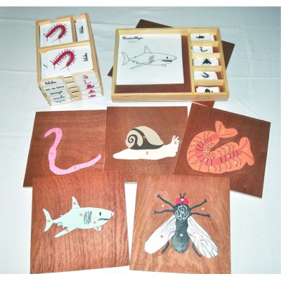 Pack nomenclatures + coffret + puzzle zoologie 5