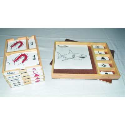 Pack nomenclatures + coffret + puzzle zoologie 5