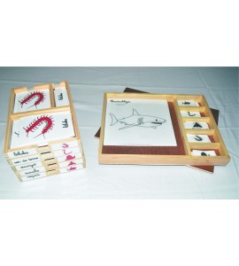 Pack nomenclatures + coffret + puzzle zoologie 5