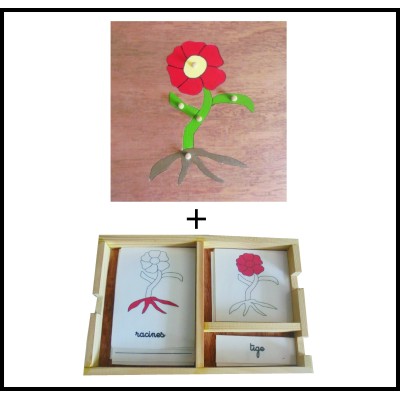 Pack nomenclatures + puzzle de la plante