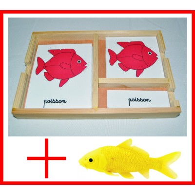 nomenclatures du poisson + figurine