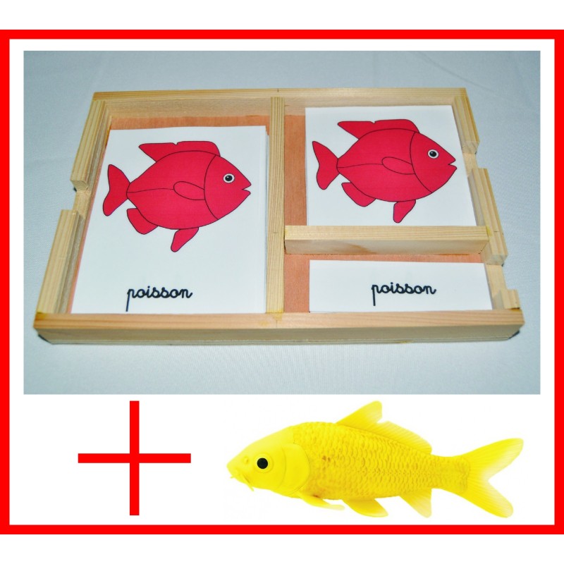 nomenclatures du poisson + figurine