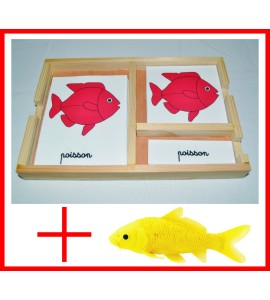 nomenclatures du poisson + figurine