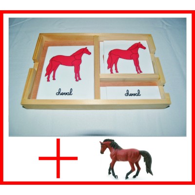 nomenclatures du cheval + figurine