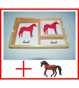 nomenclatures du cheval + figurine