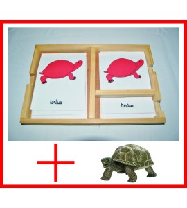 nomenclatures de la tortue + figurine