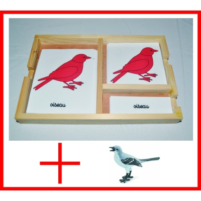 nomenclatures de l'oiseau + figurine