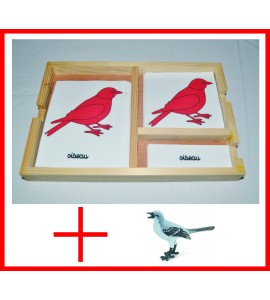 nomenclatures de l'oiseau + figurine