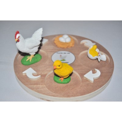 Cycle de vie du poulet - plateau + figurines