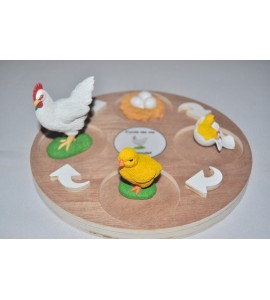 Cycle de vie du poulet - plateau + figurines