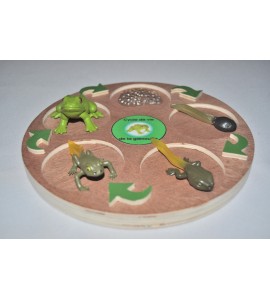 Cycle de vie de la grenouille - plateau + figurines