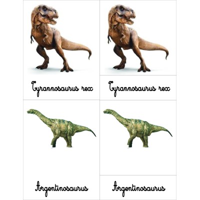 cartes de nomenclatures dinosaures