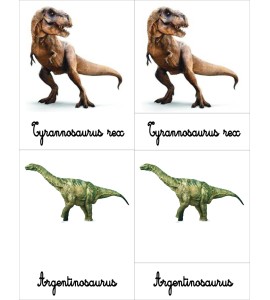 cartes de nomenclatures dinosaures