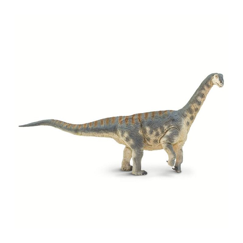 Camarasaurus