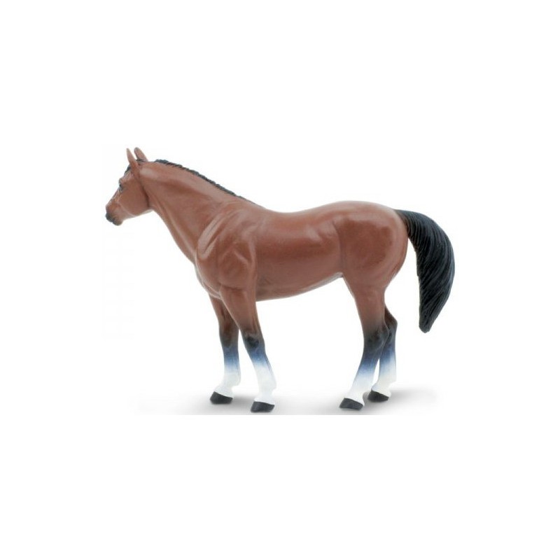 Cheval Quarter Horse Hongre