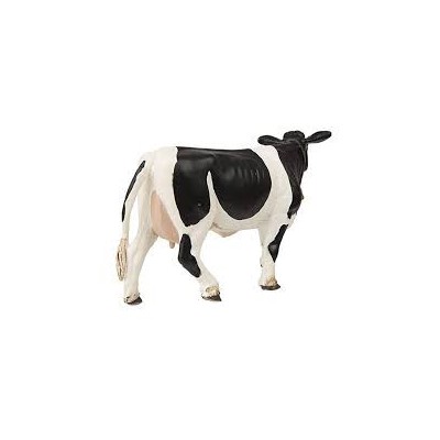 Vache Holstein