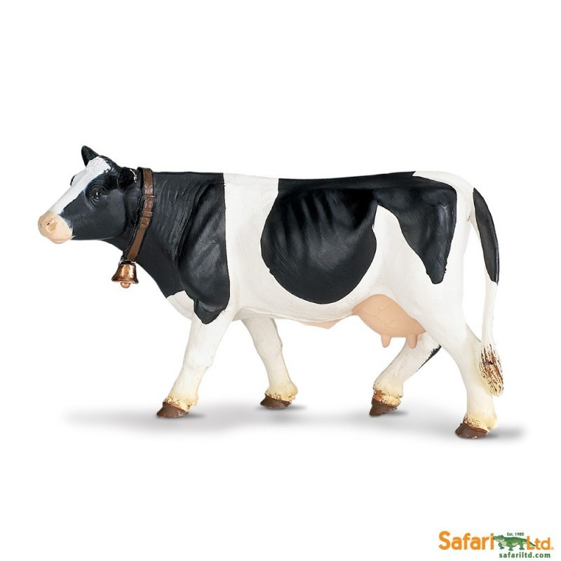 Vache Holstein