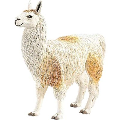 Lama