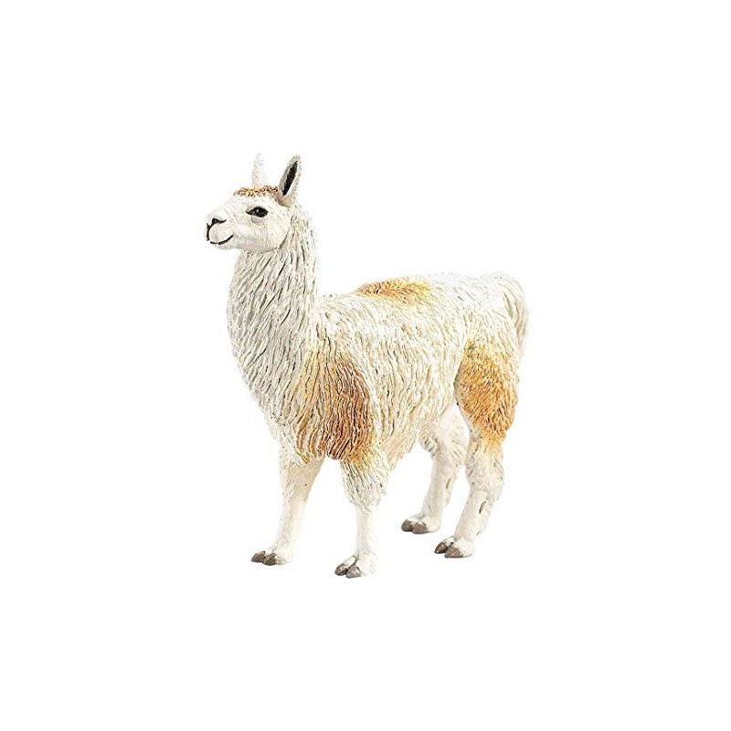 Lama