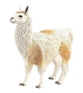 Lama