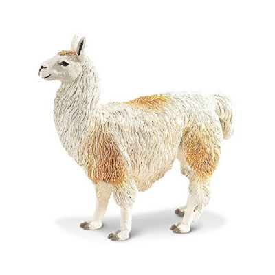 Lama