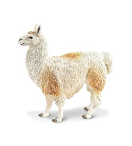 Lama