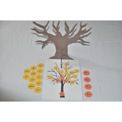 Arbre des familles de mots