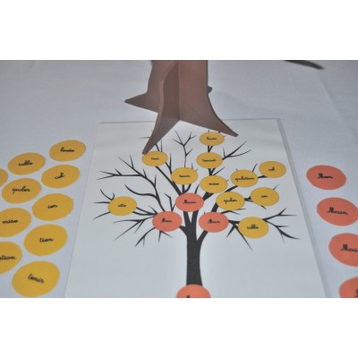 Arbre des familles de mots