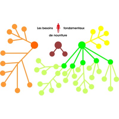 Besoins fondamentaux de nourriture