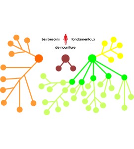 Besoins fondamentaux de nourriture