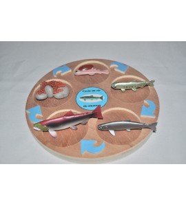 Cycle de vie du saumon - plateau + figurines