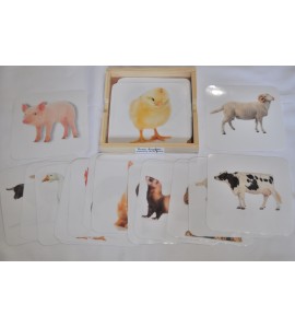 Cartes classifiées ANIMAUX DE LA FERME